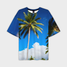 Мужская футболка oversize 3D с принтом Пальма на фоне неба ,  |  | 