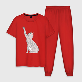 Мужская пижама хлопок с принтом Котик тянется в Тюмени, 100% хлопок | брюки и футболка прямого кроя, без карманов, на брюках мягкая резинка на поясе и по низу штанин
 | 