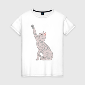 Женская футболка хлопок с принтом Котик тянется в Тюмени, 100% хлопок | прямой крой, круглый вырез горловины, длина до линии бедер, слегка спущенное плечо | 