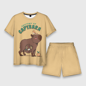 Мужской костюм с шортами 3D с принтом Anatomy of capybara в Кировске,  |  | 