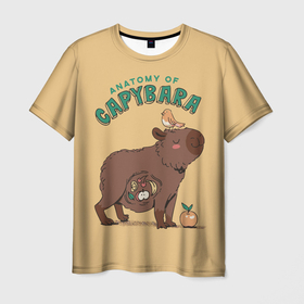 Мужская футболка 3D с принтом Anatomy of capybara в Курске, 100% полиэфир | прямой крой, круглый вырез горловины, длина до линии бедер | 