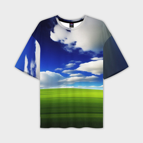 Мужская футболка oversize 3D с принтом windows пейзаж в Петрозаводске,  |  | 