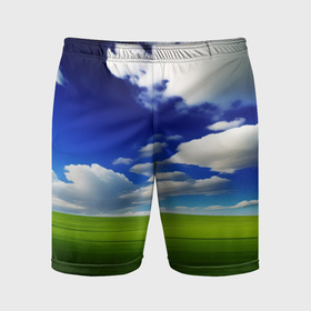Мужские шорты спортивные с принтом windows пейзаж в Петрозаводске,  |  | Тематика изображения на принте: 