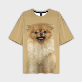 Мужская футболка oversize 3D с принтом Померанский шпиц собака в Петрозаводске,  |  | 