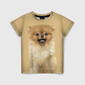 Детская футболка 3D с принтом Померанский шпиц собака в Белгороде, 100% гипоаллергенный полиэфир | прямой крой, круглый вырез горловины, длина до линии бедер, чуть спущенное плечо, ткань немного тянется | Тематика изображения на принте: 