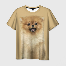 Мужская футболка 3D с принтом Померанский шпиц собака в Белгороде, 100% полиэфир | прямой крой, круглый вырез горловины, длина до линии бедер | 
