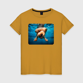 Женская футболка хлопок с принтом Пёсик под водой в Тюмени, 100% хлопок | прямой крой, круглый вырез горловины, длина до линии бедер, слегка спущенное плечо | 