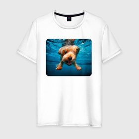 Мужская футболка хлопок с принтом Пёсик под водой в Тюмени, 100% хлопок | прямой крой, круглый вырез горловины, длина до линии бедер, слегка спущенное плечо. | Тематика изображения на принте: 