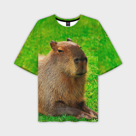 Мужская футболка oversize 3D с принтом Capybara on grass в Белгороде,  |  | 