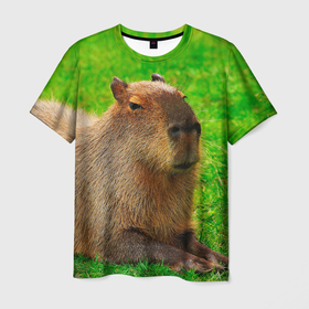 Мужская футболка 3D с принтом Capybara on grass в Курске, 100% полиэфир | прямой крой, круглый вырез горловины, длина до линии бедер | 