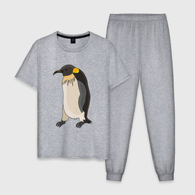 Мужская пижама хлопок с принтом Пингвин идёт в Екатеринбурге, 100% хлопок | брюки и футболка прямого кроя, без карманов, на брюках мягкая резинка на поясе и по низу штанин
 | 