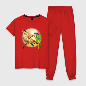 Женская пижама хлопок с принтом Соловей на берёзе в Курске, 100% хлопок | брюки и футболка прямого кроя, без карманов, на брюках мягкая резинка на поясе и по низу штанин | 