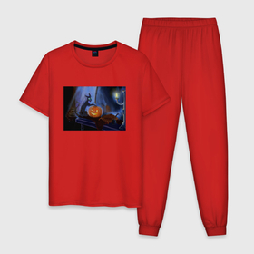 Мужская пижама хлопок с принтом Halloween Cat with Pumpkin в Тюмени, 100% хлопок | брюки и футболка прямого кроя, без карманов, на брюках мягкая резинка на поясе и по низу штанин
 | 