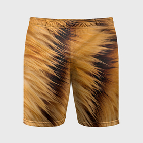 Мужские шорты спортивные с принтом Полосатый мех тигра в Курске,  |  | 