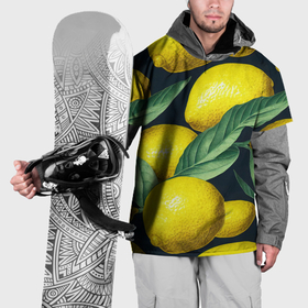 Накидка на куртку 3D с принтом Лимон на черном   паттерн в Екатеринбурге, 100% полиэстер |  | Тематика изображения на принте: 
