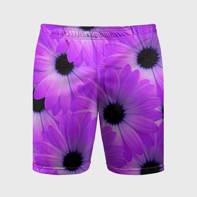 Мужские шорты спортивные с принтом Фиолетовые ромашки в Курске,  |  | 