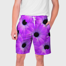 Мужские шорты 3D с принтом Фиолетовые ромашки в Петрозаводске,  полиэстер 100% | прямой крой, два кармана без застежек по бокам. Мягкая трикотажная резинка на поясе, внутри которой широкие завязки. Длина чуть выше колен | 