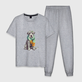 Мужская пижама хлопок с принтом Лучший друг   ирландский волкодав в Новосибирске, 100% хлопок | брюки и футболка прямого кроя, без карманов, на брюках мягкая резинка на поясе и по низу штанин
 | 