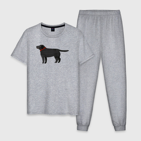 Мужская пижама хлопок с принтом Лабрадор чёрный в Кировске, 100% хлопок | брюки и футболка прямого кроя, без карманов, на брюках мягкая резинка на поясе и по низу штанин
 | 