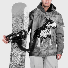 Накидка на куртку 3D с принтом Бойцовый бультерьер   мощь в Белгороде, 100% полиэстер |  | 