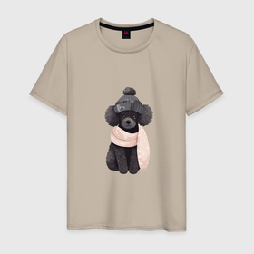 Мужская футболка хлопок с принтом Лучший друг   пудель черный в Новосибирске, 100% хлопок | прямой крой, круглый вырез горловины, длина до линии бедер, слегка спущенное плечо. | 