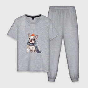 Мужская пижама хлопок с принтом Французский бульдог   лучший друг , 100% хлопок | брюки и футболка прямого кроя, без карманов, на брюках мягкая резинка на поясе и по низу штанин
 | 