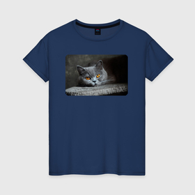 Женская футболка хлопок с принтом Британская короткошёрстная кошка , 100% хлопок | прямой крой, круглый вырез горловины, длина до линии бедер, слегка спущенное плечо | 