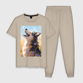 Мужская пижама хлопок с принтом Собака на солнце в Кировске, 100% хлопок | брюки и футболка прямого кроя, без карманов, на брюках мягкая резинка на поясе и по низу штанин
 | 