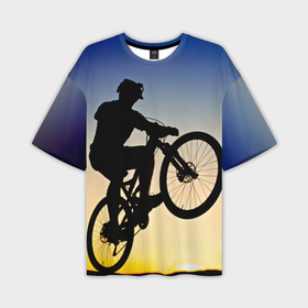 Мужская футболка oversize 3D с принтом Прыжок велосипедиста в Кировске,  |  | 