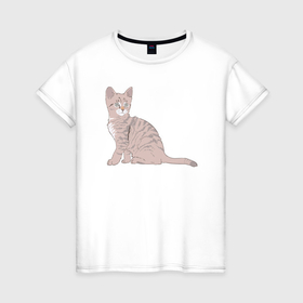 Женская футболка хлопок с принтом Котёнок удивлён в Тюмени, 100% хлопок | прямой крой, круглый вырез горловины, длина до линии бедер, слегка спущенное плечо | 