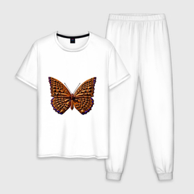 Мужская пижама хлопок с принтом Пятнистая рыжая бабочка в Новосибирске, 100% хлопок | брюки и футболка прямого кроя, без карманов, на брюках мягкая резинка на поясе и по низу штанин
 | 
