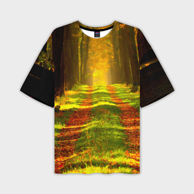 Мужская футболка oversize 3D с принтом Дорога среди деревьев в Санкт-Петербурге,  |  | Тематика изображения на принте: 