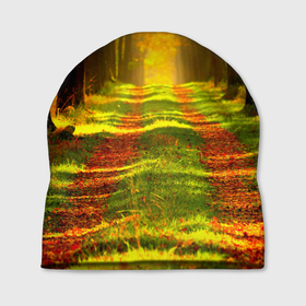 Шапка 3D с принтом Дорога среди деревьев в Санкт-Петербурге, 100% полиэстер | универсальный размер, печать по всей поверхности изделия | Тематика изображения на принте: 