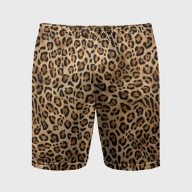 Мужские шорты спортивные с принтом Шкура леопарда, гепарда, ягуара, рыси ,  |  | 