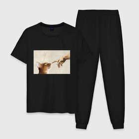 Мужская пижама хлопок с принтом Сотворение кота абиссинца в Екатеринбурге, 100% хлопок | брюки и футболка прямого кроя, без карманов, на брюках мягкая резинка на поясе и по низу штанин
 | Тематика изображения на принте: 