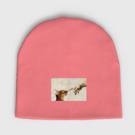 Мужская шапка демисезонная с принтом Сотворение кота абиссинца ,  |  | Тематика изображения на принте: 