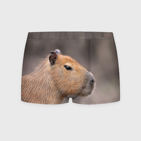 Мужские трусы 3D с принтом Capybara profile в Белгороде, 50% хлопок, 50% полиэстер | классическая посадка, на поясе мягкая тканевая резинка | 