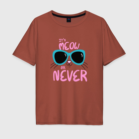 Мужская футболка хлопок Oversize с принтом Образ котика в очках в Екатеринбурге, 100% хлопок | свободный крой, круглый ворот, “спинка” длиннее передней части | 