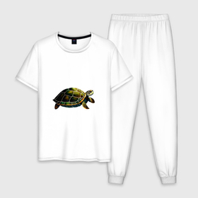 Мужская пижама хлопок с принтом Морская черепаха: вид сбоку в Кировске, 100% хлопок | брюки и футболка прямого кроя, без карманов, на брюках мягкая резинка на поясе и по низу штанин
 | 