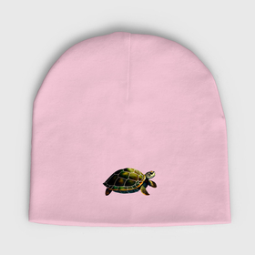 Мужская шапка демисезонная с принтом Морская черепаха: вид сбоку ,  |  | Тематика изображения на принте: 