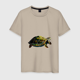 Мужская футболка хлопок с принтом Морская черепаха: вид сбоку в Санкт-Петербурге, 100% хлопок | прямой крой, круглый вырез горловины, длина до линии бедер, слегка спущенное плечо. | 