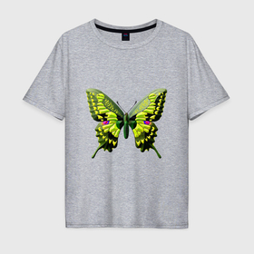 Мужская футболка хлопок Oversize с принтом Бабочка семейства парусников , 100% хлопок | свободный крой, круглый ворот, “спинка” длиннее передней части | Тематика изображения на принте: 