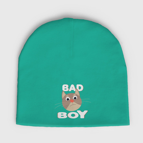 Мужская шапка демисезонная с принтом Bad boy надпись плохой мальчик в Тюмени,  |  | 