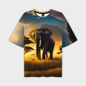 Мужская футболка oversize 3D с принтом Слон и рассвет в саванне в Санкт-Петербурге,  |  | 