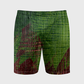 Мужские шорты спортивные с принтом Зелёная и бордовая текстура в Новосибирске,  |  | 