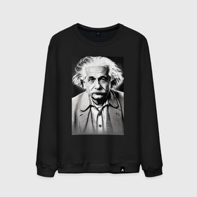 Мужской свитшот хлопок с принтом Альбертик Эйнштейн , 100% хлопок |  | 