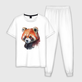 Мужская пижама хлопок с принтом Красная панда акварель в Кировске, 100% хлопок | брюки и футболка прямого кроя, без карманов, на брюках мягкая резинка на поясе и по низу штанин
 | 