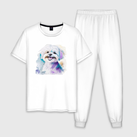 Мужская пижама хлопок с принтом Мальтипу собака улыбака акварель , 100% хлопок | брюки и футболка прямого кроя, без карманов, на брюках мягкая резинка на поясе и по низу штанин
 | 