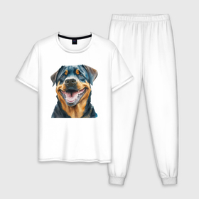 Мужская пижама хлопок с принтом Ротвейлер собака улыбака акварель , 100% хлопок | брюки и футболка прямого кроя, без карманов, на брюках мягкая резинка на поясе и по низу штанин
 | 