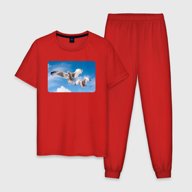 Мужская пижама хлопок с принтом Чайки в небе в Белгороде, 100% хлопок | брюки и футболка прямого кроя, без карманов, на брюках мягкая резинка на поясе и по низу штанин
 | 